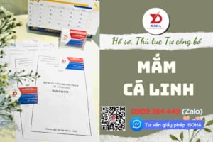 Tự công bố MẮM CÁ LINH: Hồ sơ, Thủ tục mới